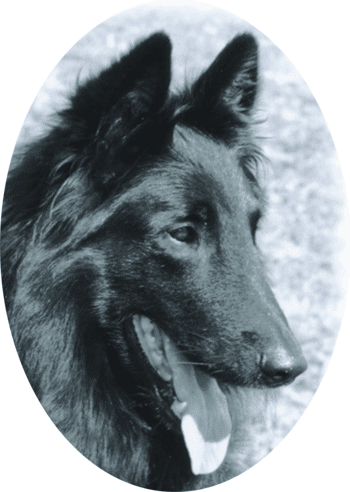 Bandit v. Waldeckerland