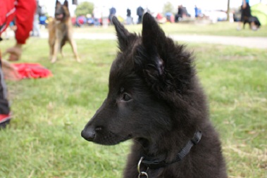 Asuka,Juli2011,Tunier THS