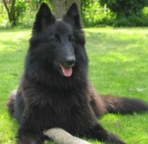 Eve de la Ferme Farouche